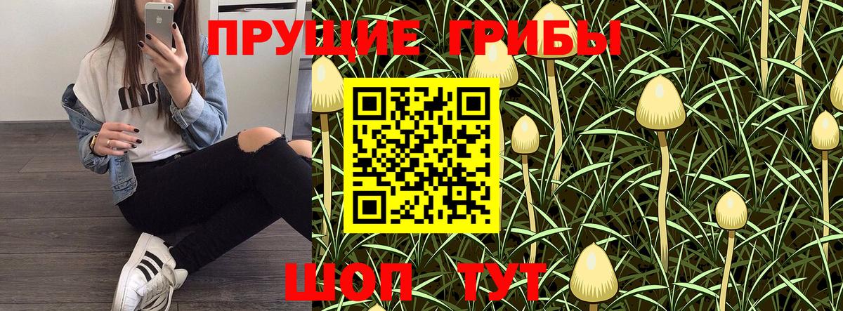 Псилоцибиновые грибы Psilocybine cubensis  Вход с VPN  Старый Оскол 